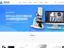 重慶萊奧儀器有限公司 官網上線